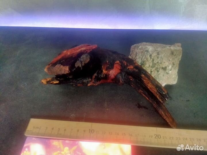 Коряга в аквариум