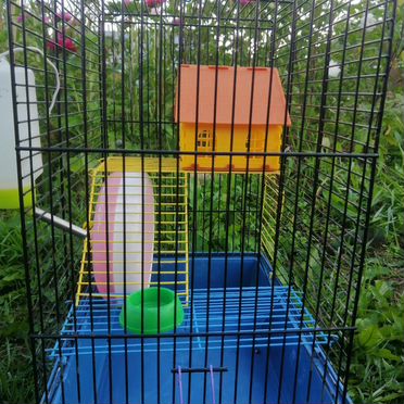Клетка для грызунов бу