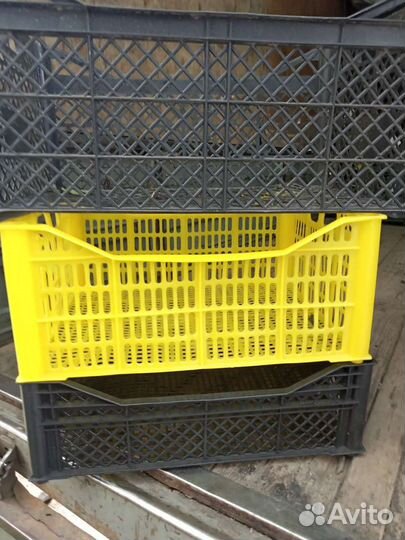 Ящик пластик овощной