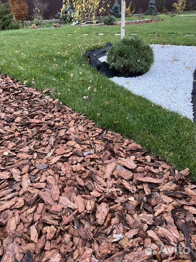 Кора сосны, лиственницыв наличии