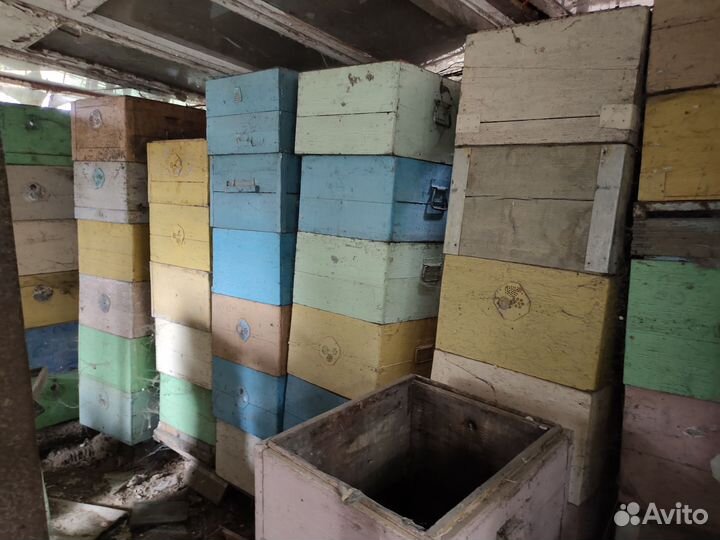 Продам ульи для пчел