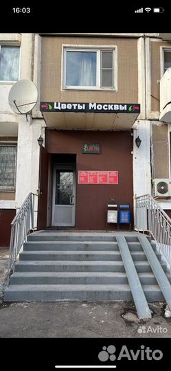 Цветочный магазин готовый бизнес