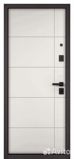 Дверь входная металлическая в квартиру