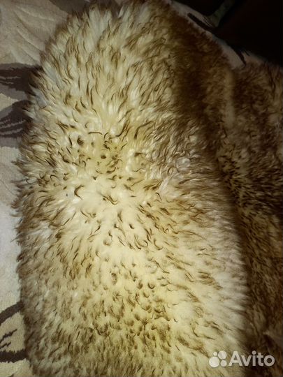 Авточехлы универсальные