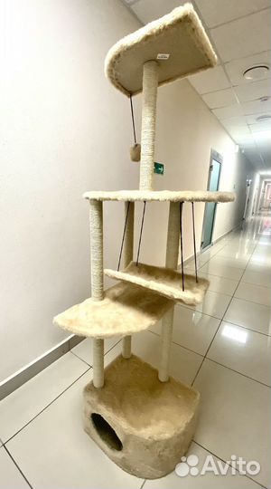 Когтеточка новая большая, комплекс