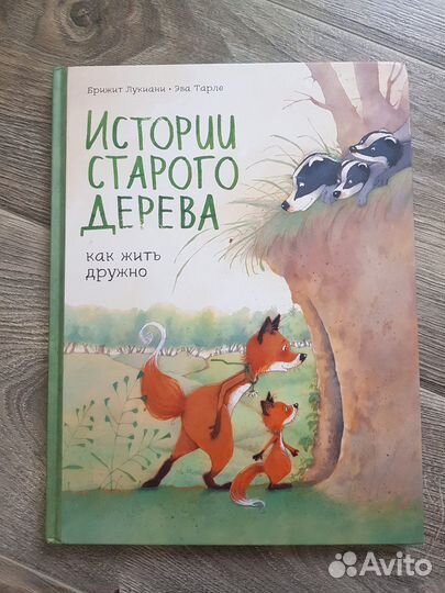 Книга 