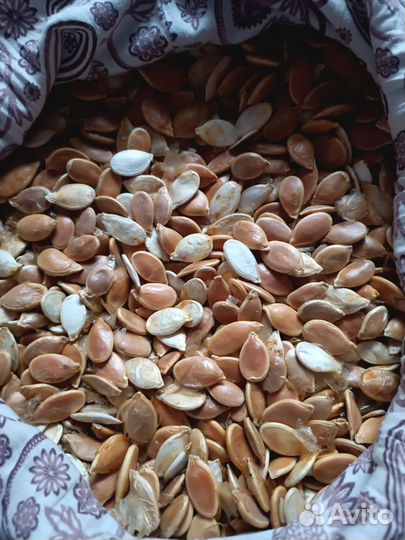 Семена тыквы