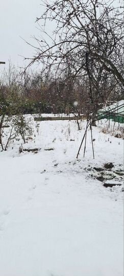 Участок 4 сот. (ИЖС)