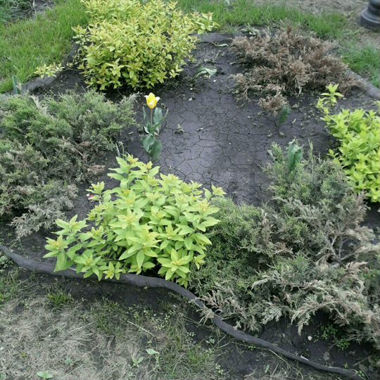 Дача 34 м² на участке 6 сот.