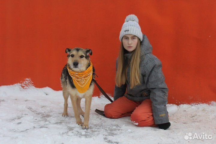 Бредли - задержите свой взгляд на этом малыше