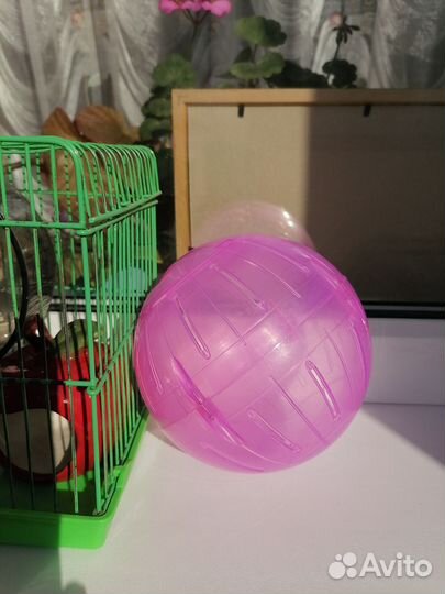 Клетка для хомяка