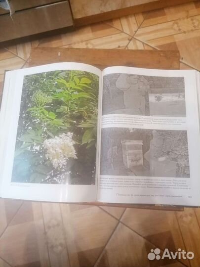 Книга пчеловодство
