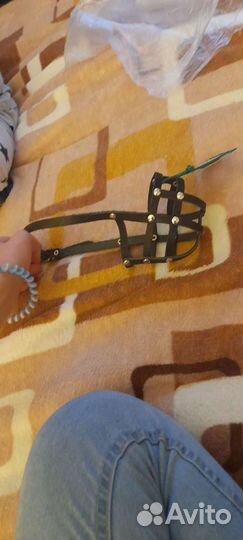 Намордник для собак