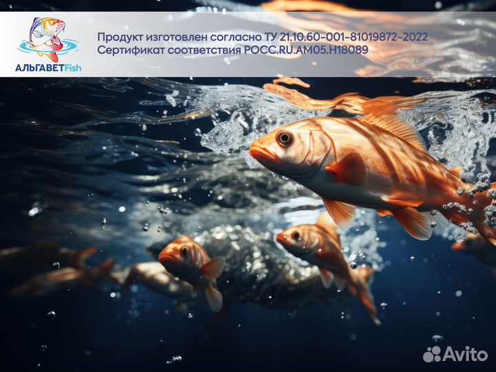 Хлорелла живая Альгавет Fish, канистра 20 л