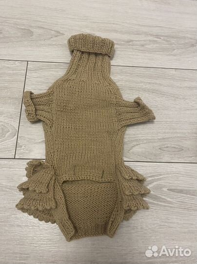 Одежда для кошек