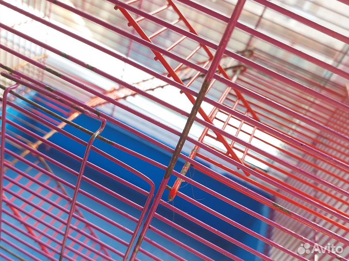 Клетка для грызунов бу