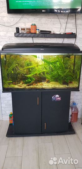 Аквариум 200 литров с внешним фильтром