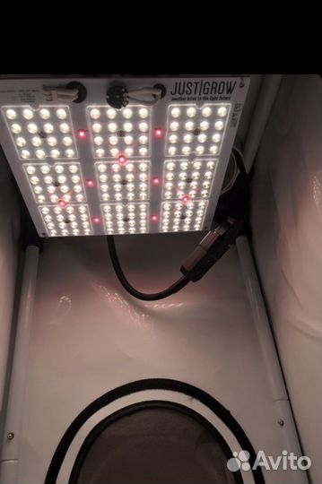 Домашняя теплица