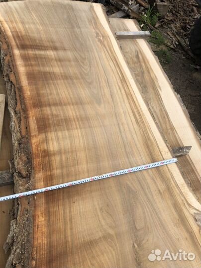 Карагач. доска не обрез обрез
