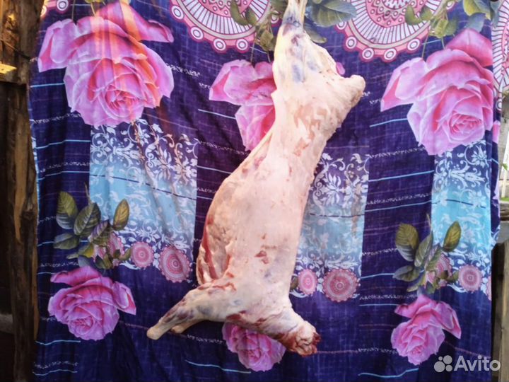 Мясо баранина