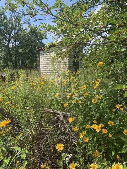 Участок 6 сот. (ИЖС)