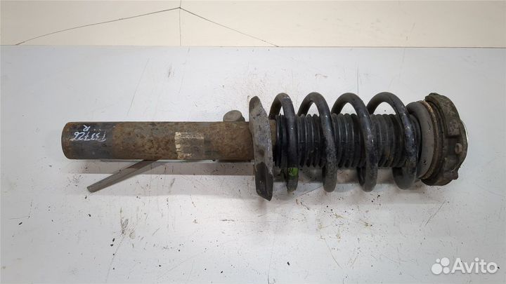 Амортизатор подвески Audi A3 (8PA), 2007