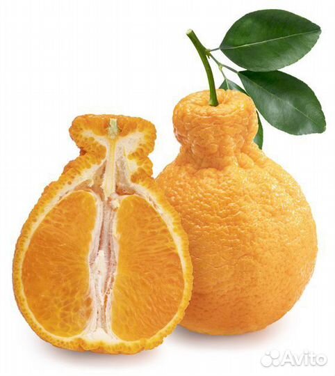 Мандарин Декапон