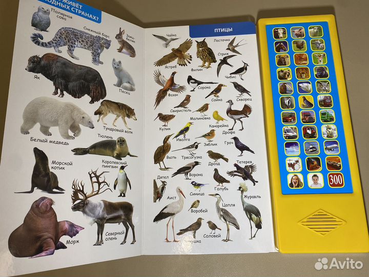 Музыкальная книжка-игрушка 300 голосов и звуков