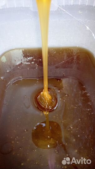 Мед темное разнотравье, Пенза 2022г