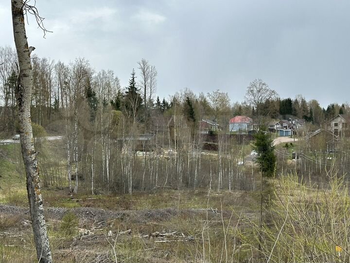 Участок 18,5 сот. (СНТ, ДНП)