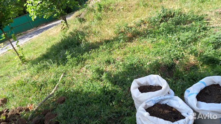 Перегной сыпец,чернозем первый сорт,привезу,1/15т