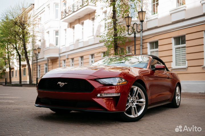 Ford Mustang, 2019
