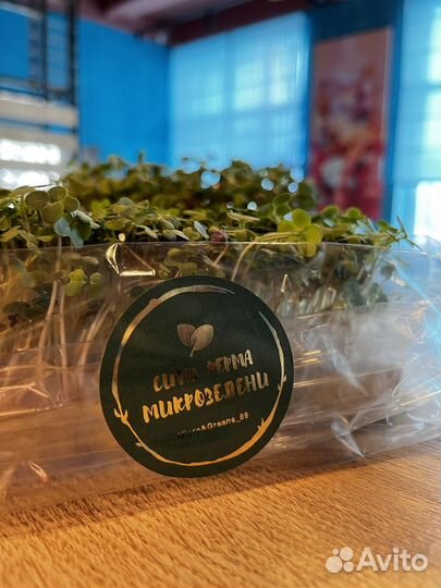 Микрозелень