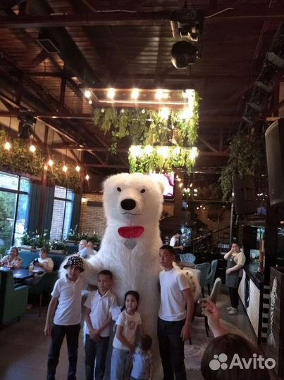 Белый мишка на поздравление