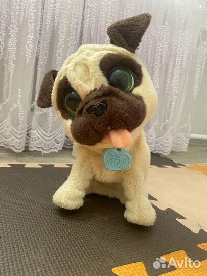 Интерактивная Собака