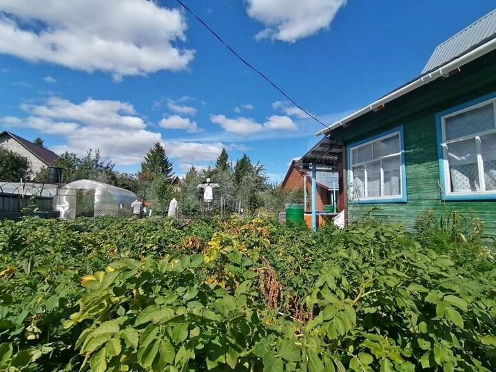 Дача 23 м² на участке 5 сот.