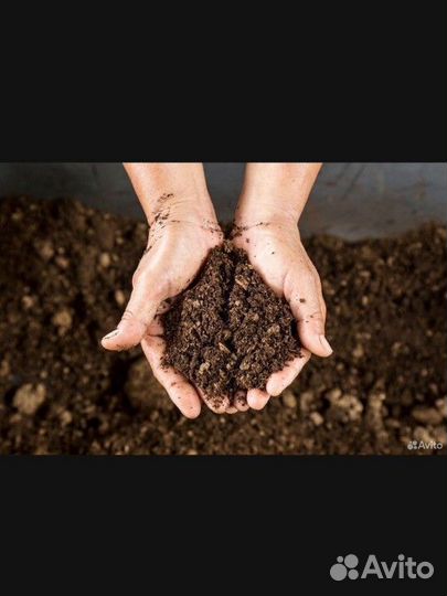 Конский навоз перегной в мешках чернозём