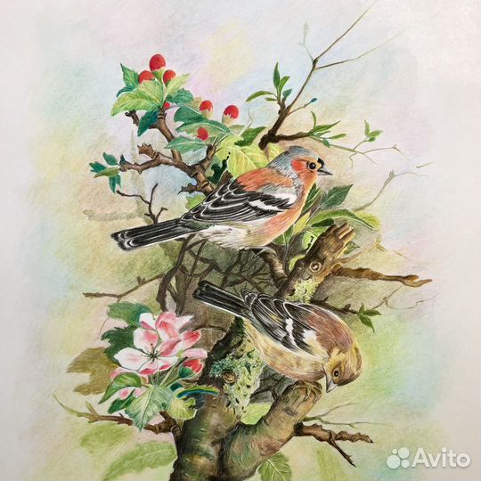 Картины: графика «Птицы в саду» А3