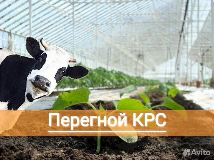 Перегной коровий в мешках