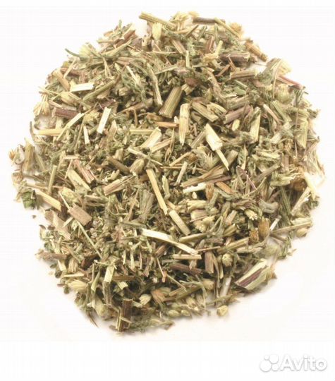 Цветки тысячелистника