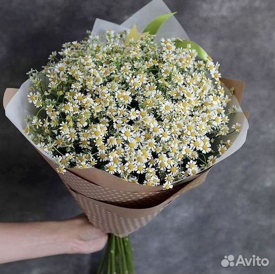 Ромашки букет