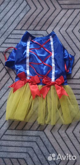 Одежда для маленьких собачек