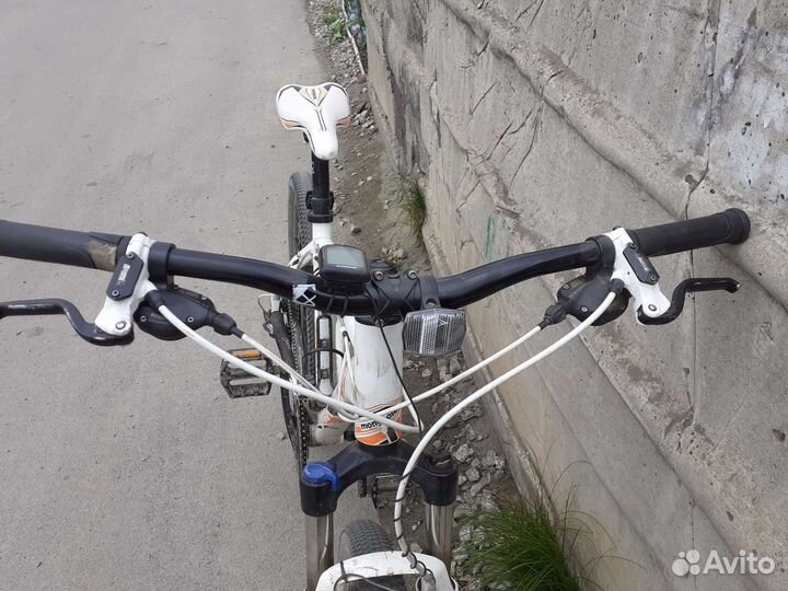 Mongoose tyax expert