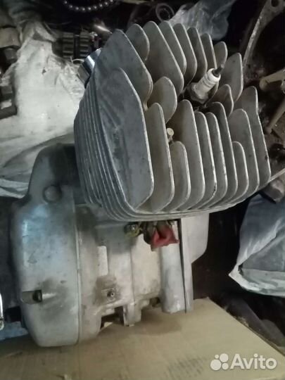 Лепистковые клапона восход