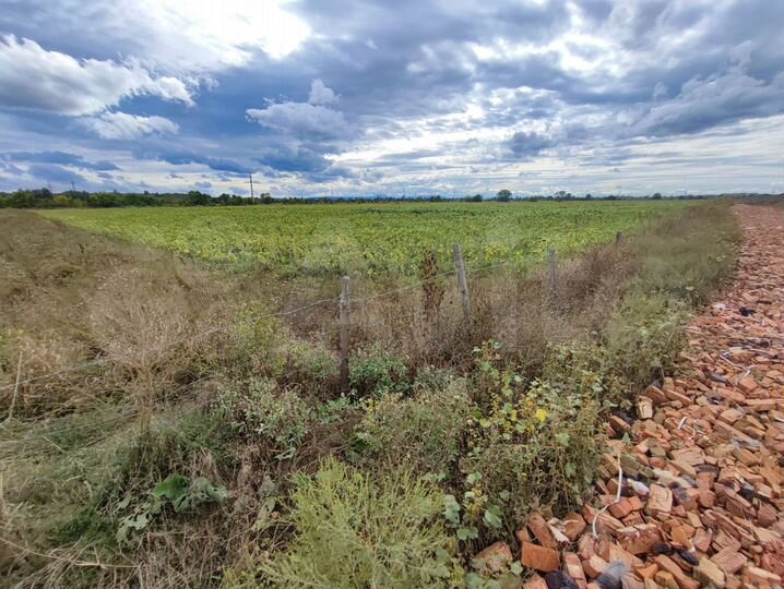 Участок 1,01 га (СНТ, ДНП)