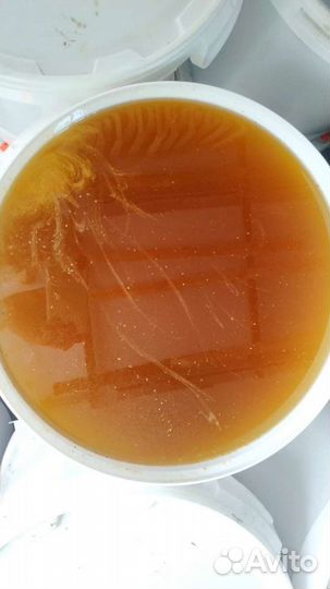 Мёд с личной пасеки