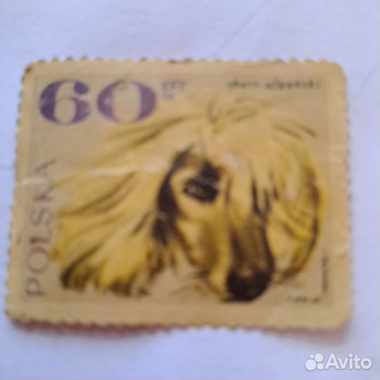 Почтовые марки