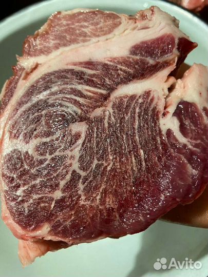 Чистопородный хряк венгерской пушистой мангалицы