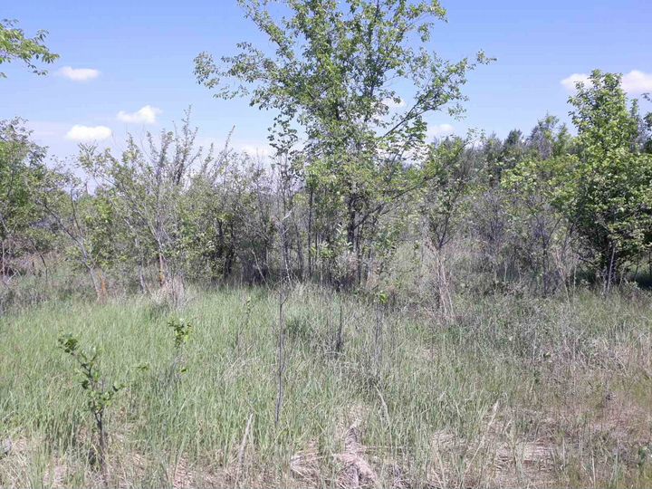 Участок 7,3 сот. (СНТ, ДНП)