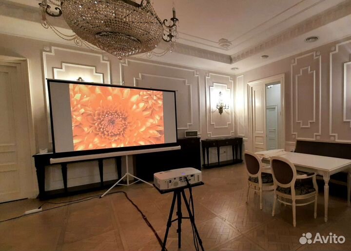 Аренда проектора NEC с экраном и стойкой
